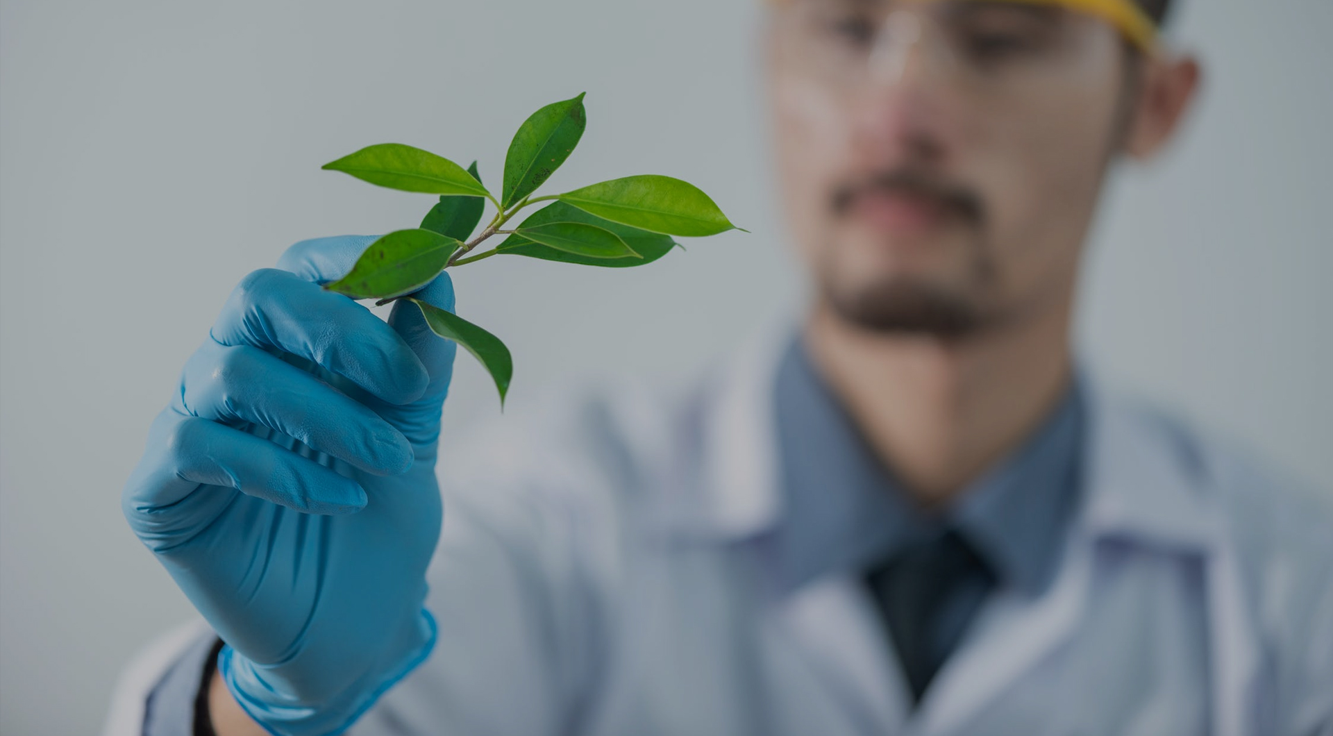 巅峰国际官网-相信品牌力量