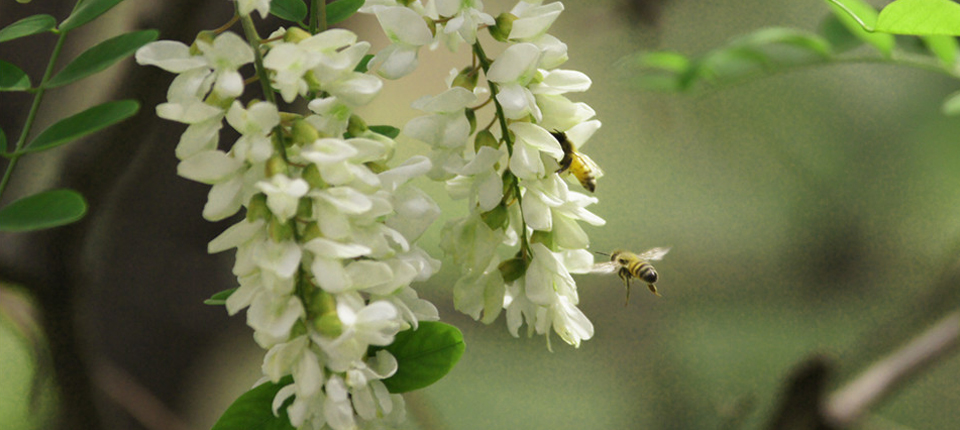 巅峰国际官网-相信品牌力量