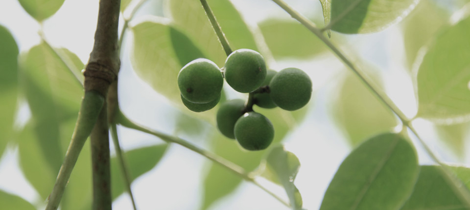 巅峰国际官网-相信品牌力量